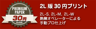 2L版30円プリント